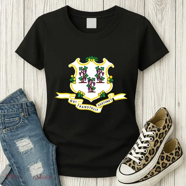 Connecticut State Flag Women's T-Shirt