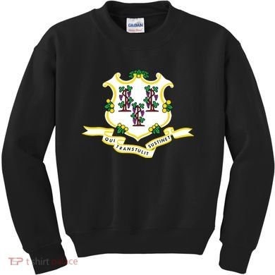 Connecticut State Flag Kids Sweatshirt