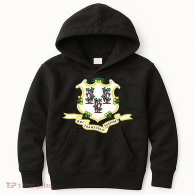 Connecticut State Flag Kids Hoodie