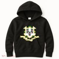 Connecticut State Flag Kids Hoodie thumb 0