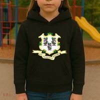 Connecticut State Flag Kids Hoodie thumb 3
