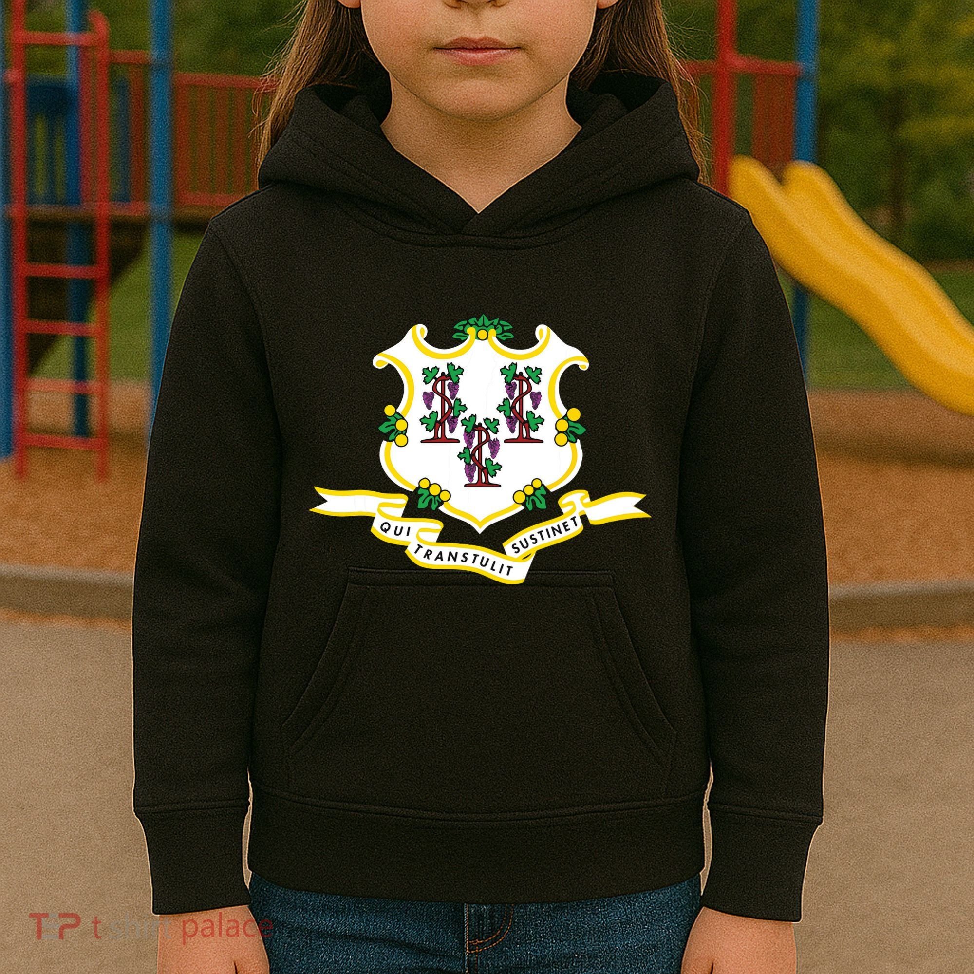 Connecticut State Flag Kids Hoodie