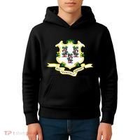 Connecticut State Flag Kids Hoodie thumb 4