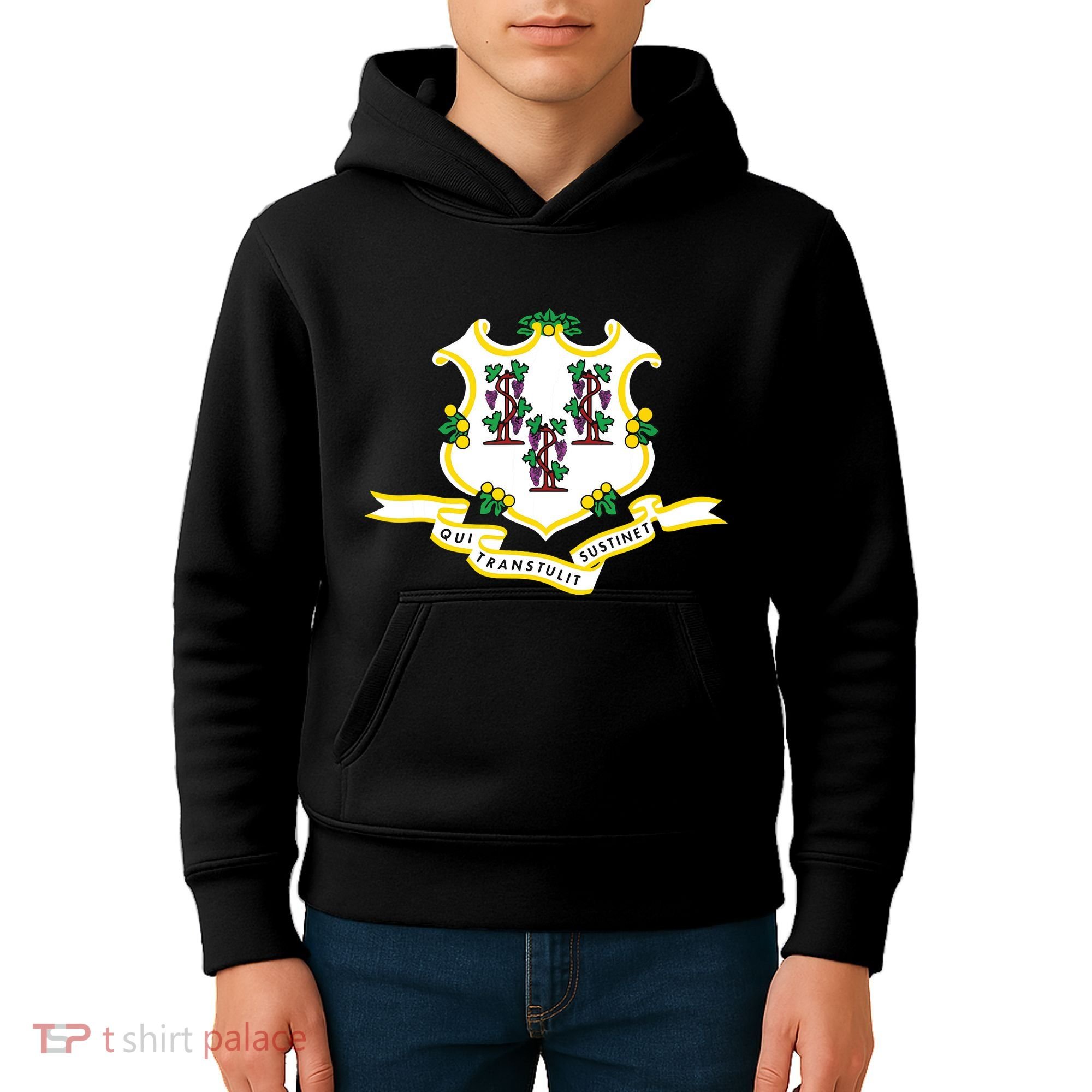 Connecticut State Flag Kids Hoodie
