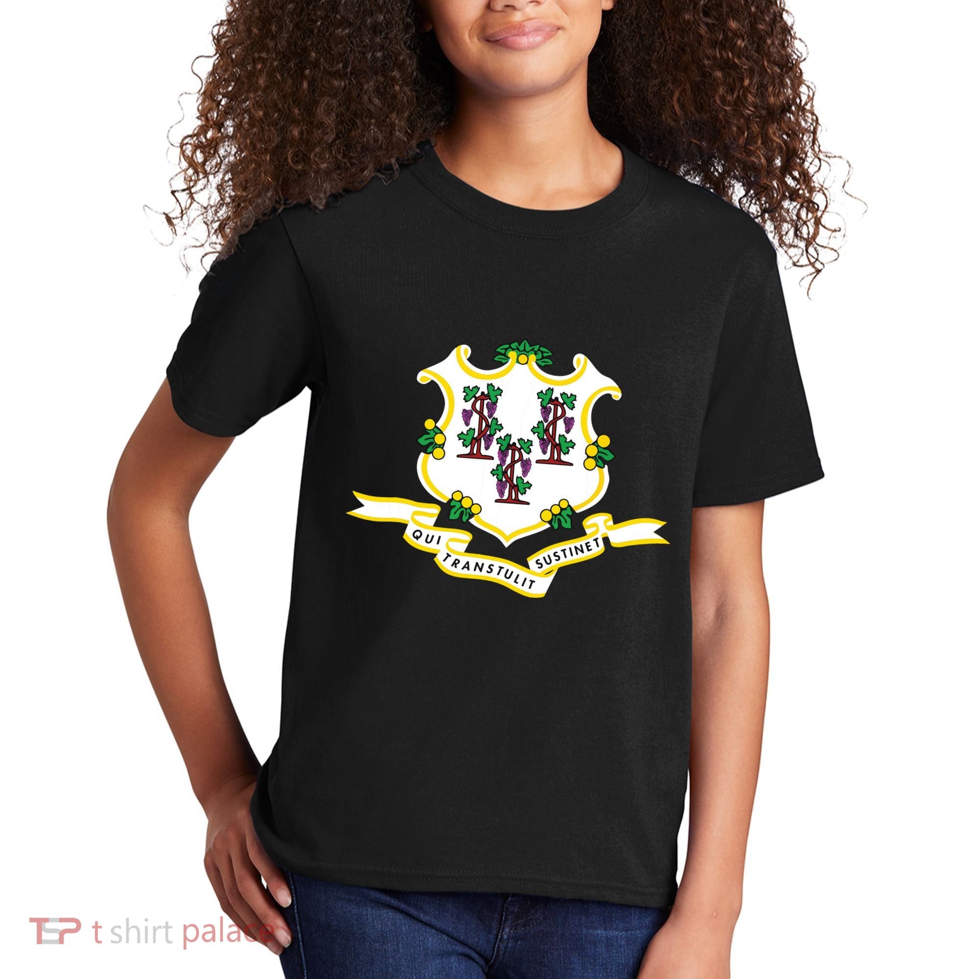 Connecticut State Flag Kids T-Shirt
