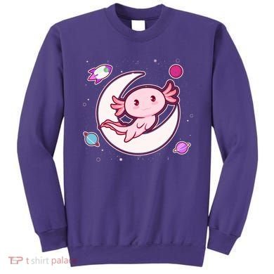 Cute Space Galaxy Axolotl Sweatshirt