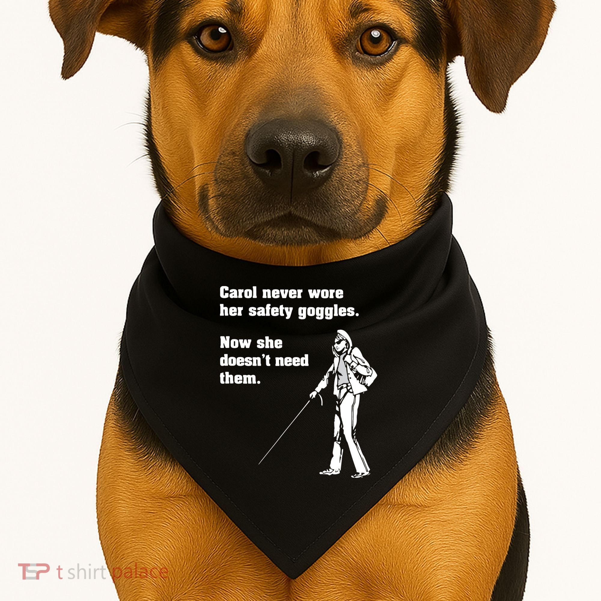Carol Safety Goggles Funny Science Chemistry USA-Made Doggie Bandana