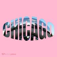 Chicago Skyline Giant Bean City Illinois State Gift Coaster thumb 2