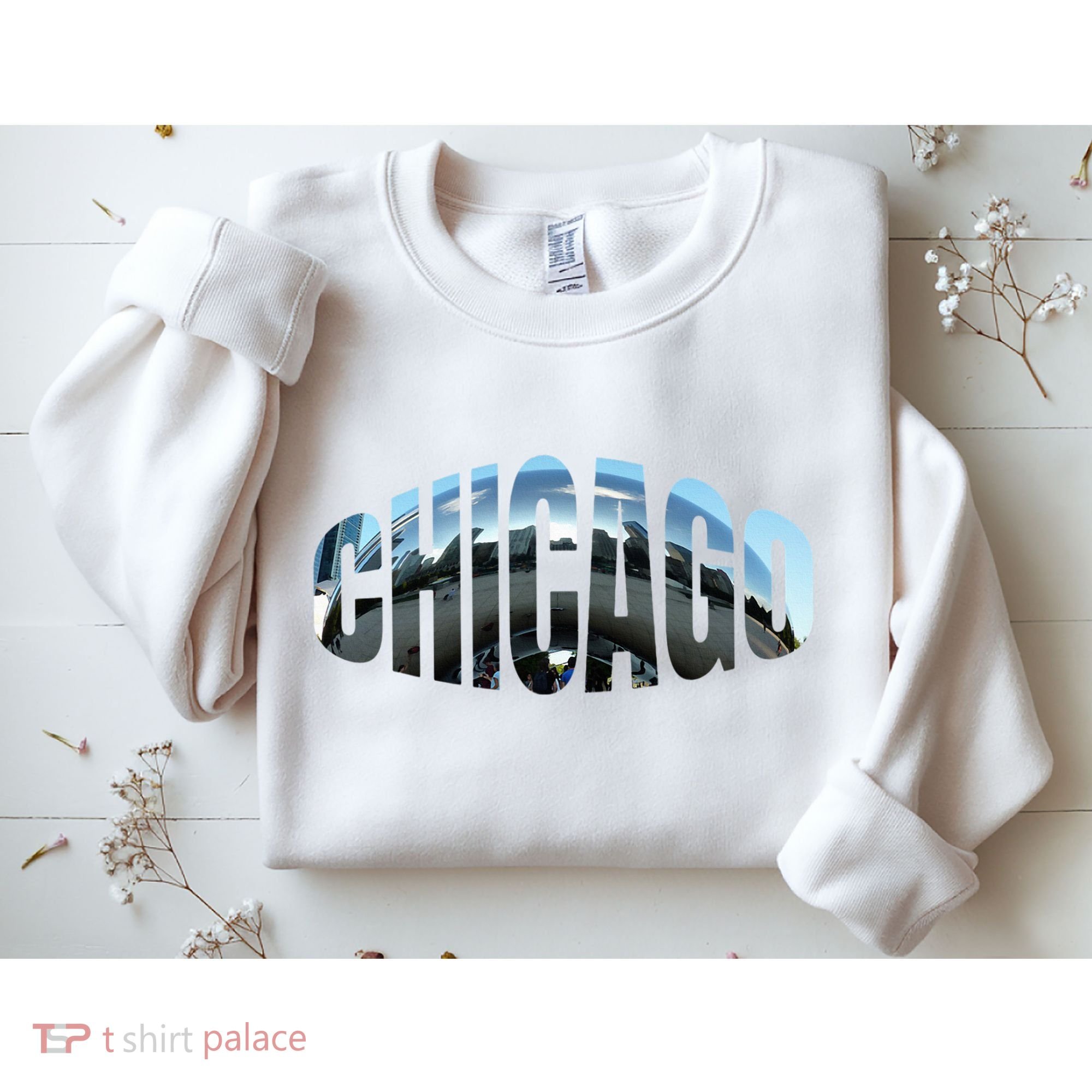 Chicago Skyline Giant Bean City Illinois State Gift Sweatshirt