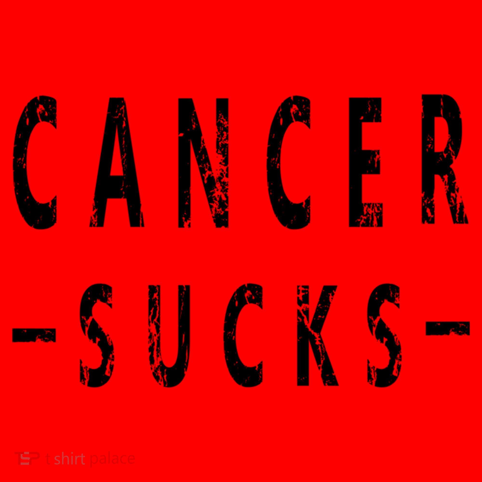 Cancer Sucks Gift Hooded Cancer Gift Santa Hat