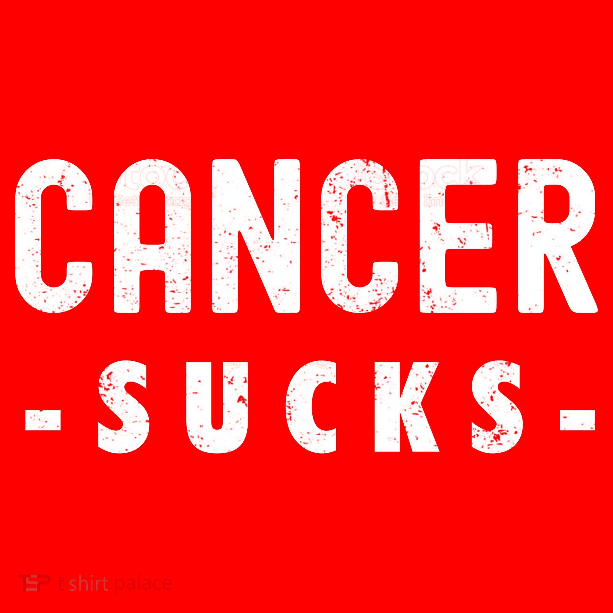 Cancer Sucks Gift Hooded Cancer Gift Santa Hat