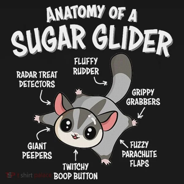 Cute Sugar Glider Lover Hoodie
