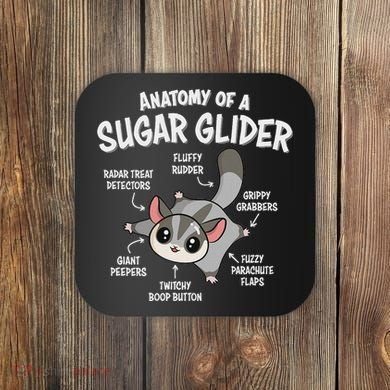 Cute Sugar Glider Lover Coaster
