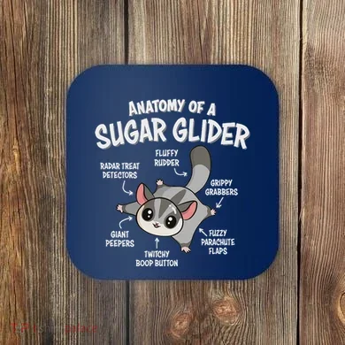 Coaster