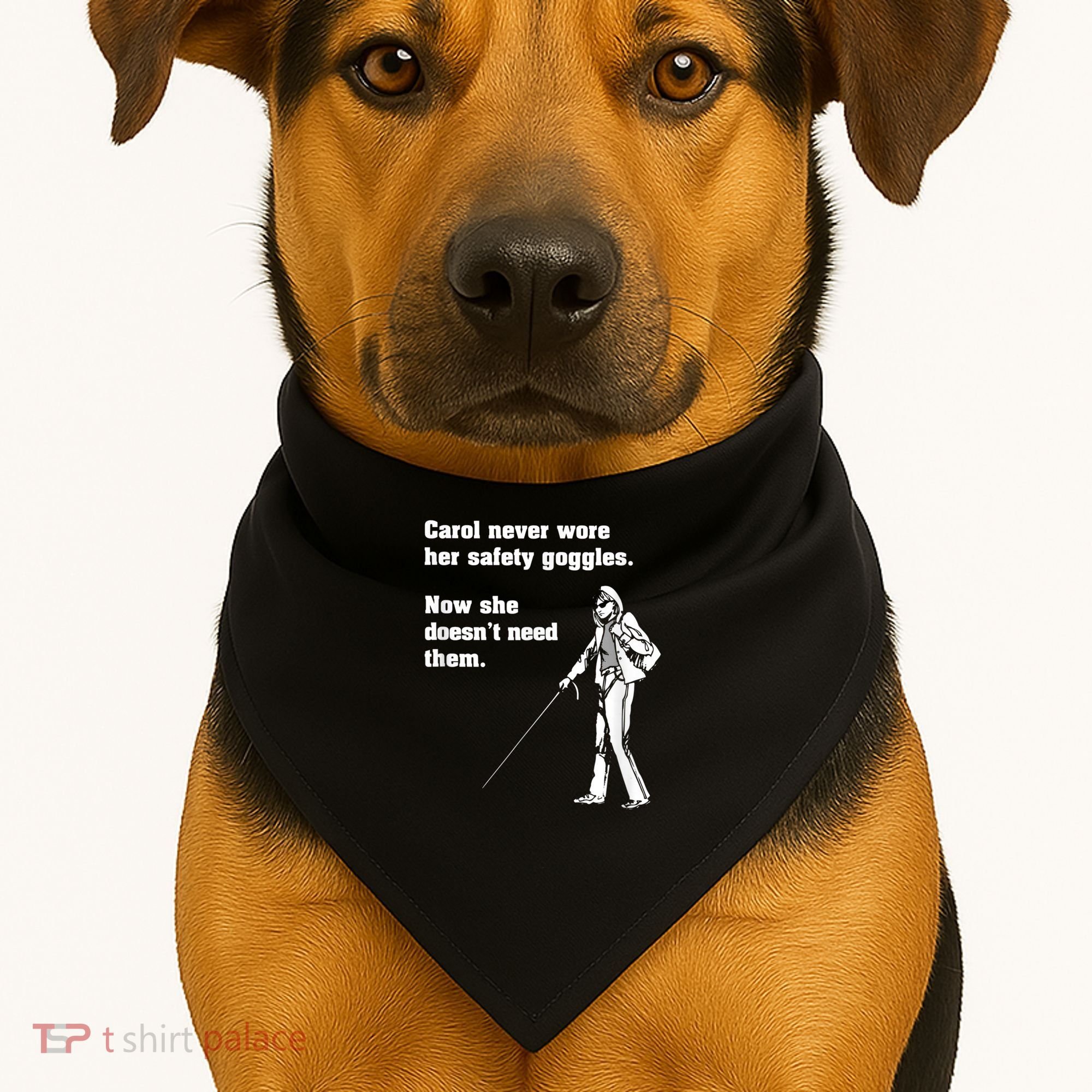 Carol Safety Goggles Funny Science Chemistry USA-Made Doggie Bandana