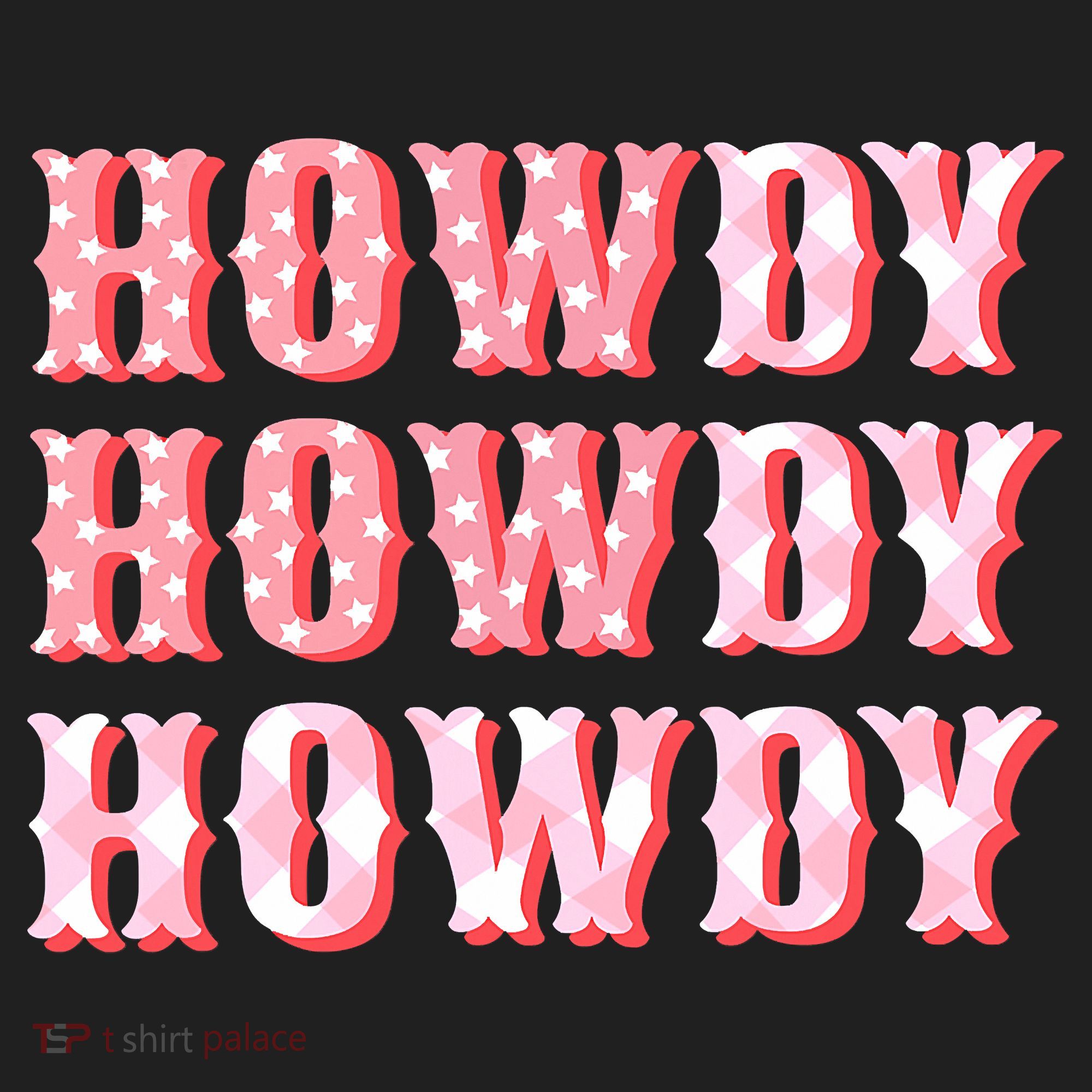 Cowgirl Shirt Howdy Howdy Beanie