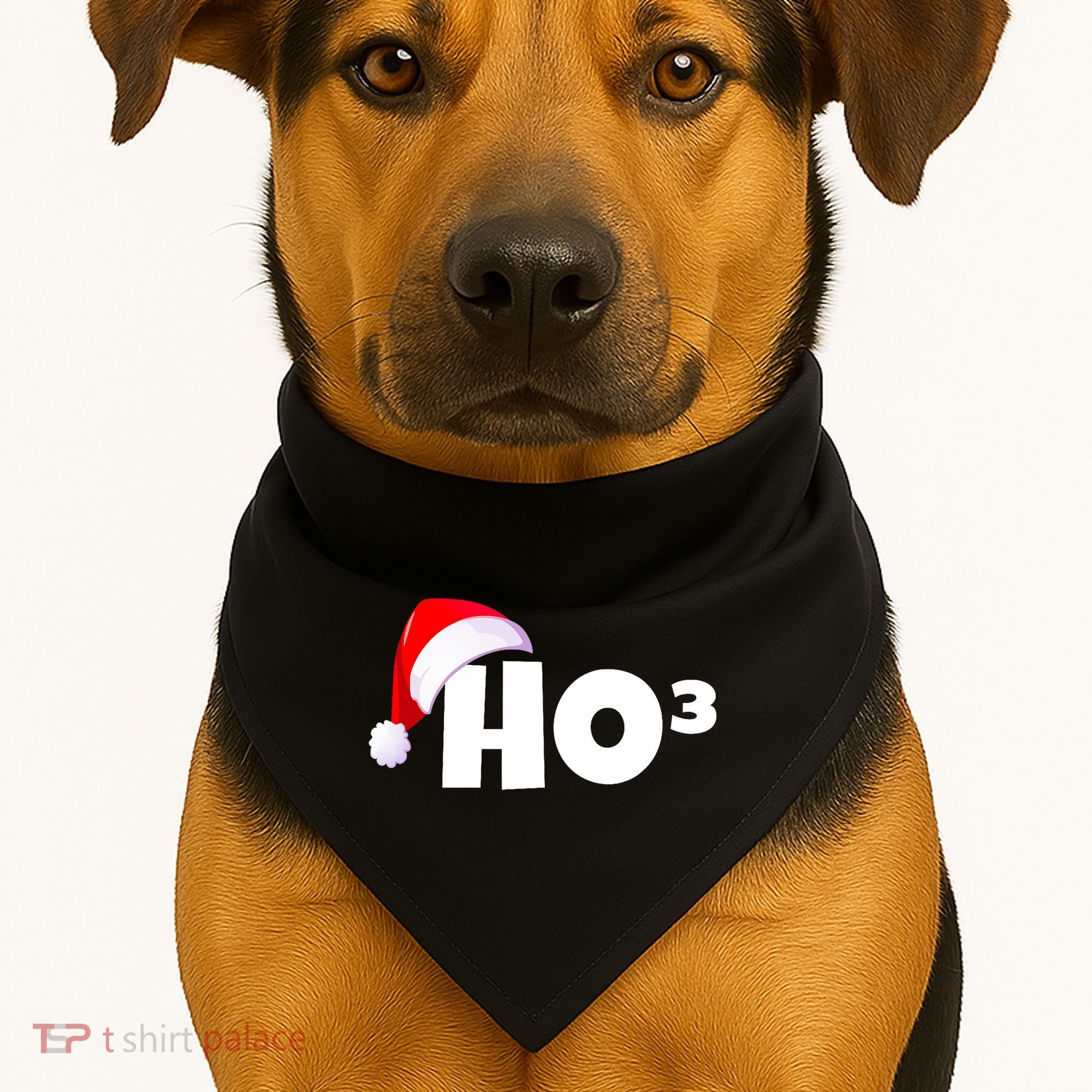 Christmas Santa Hohoho Math & Physics Joke USA-Made Doggie Bandana