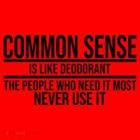 Common Sense Is Like Deodorant Funny Santa Hat thumb 1