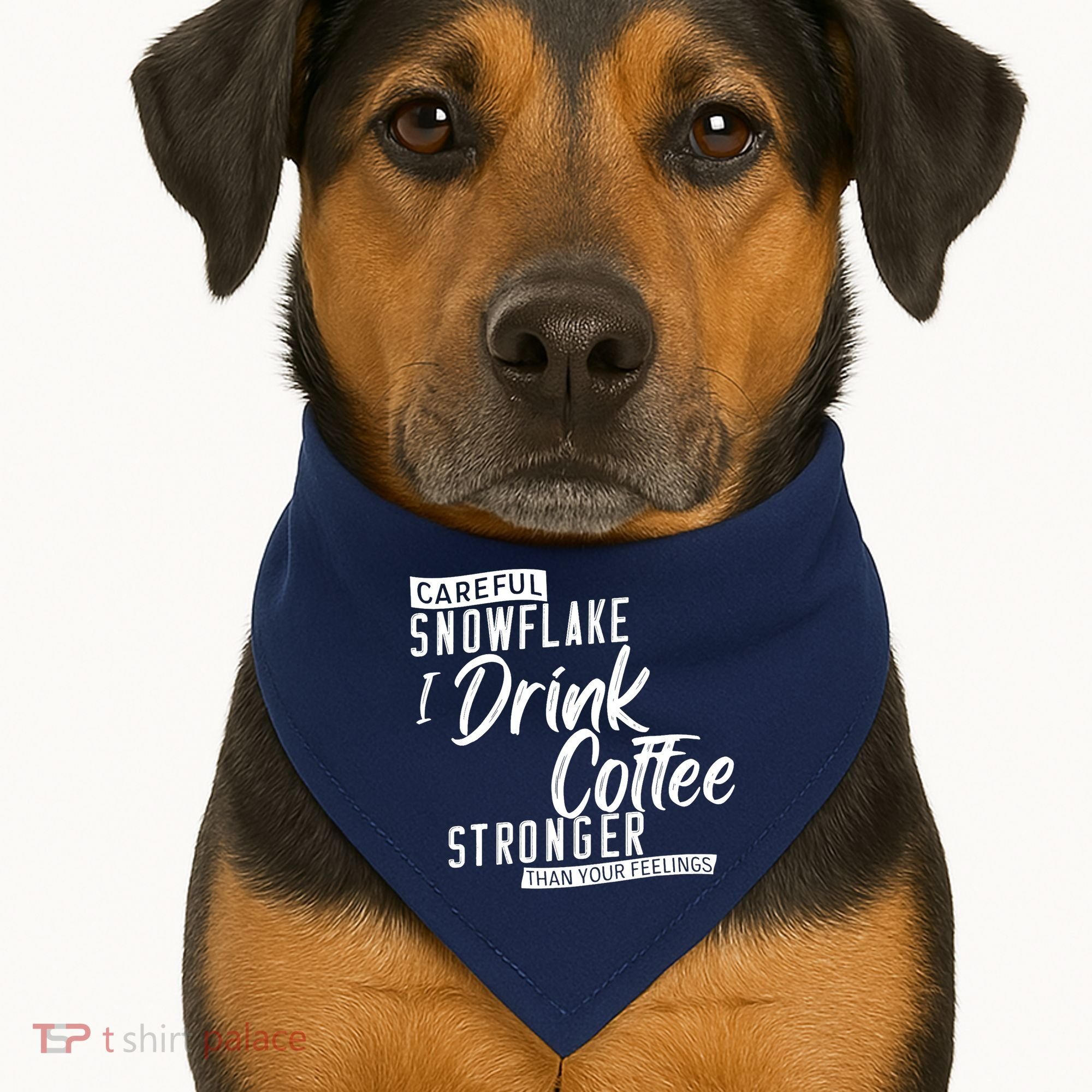 Careful Snowflake I Drink Coffee Stronger Than Your Feelings USA-Made Doggie Bandana