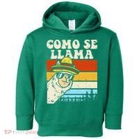 Como Se Llama Funny Cinco De Mayo Mexican Alpaca Animal Toddler Hoodie thumb 0