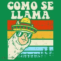 Como Se Llama Funny Cinco De Mayo Mexican Alpaca Animal Women's T-Shirt thumb 6