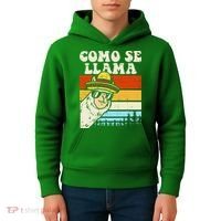 Como Se Llama Funny Cinco De Mayo Mexican Alpaca Animal Kids Hoodie thumb 4
