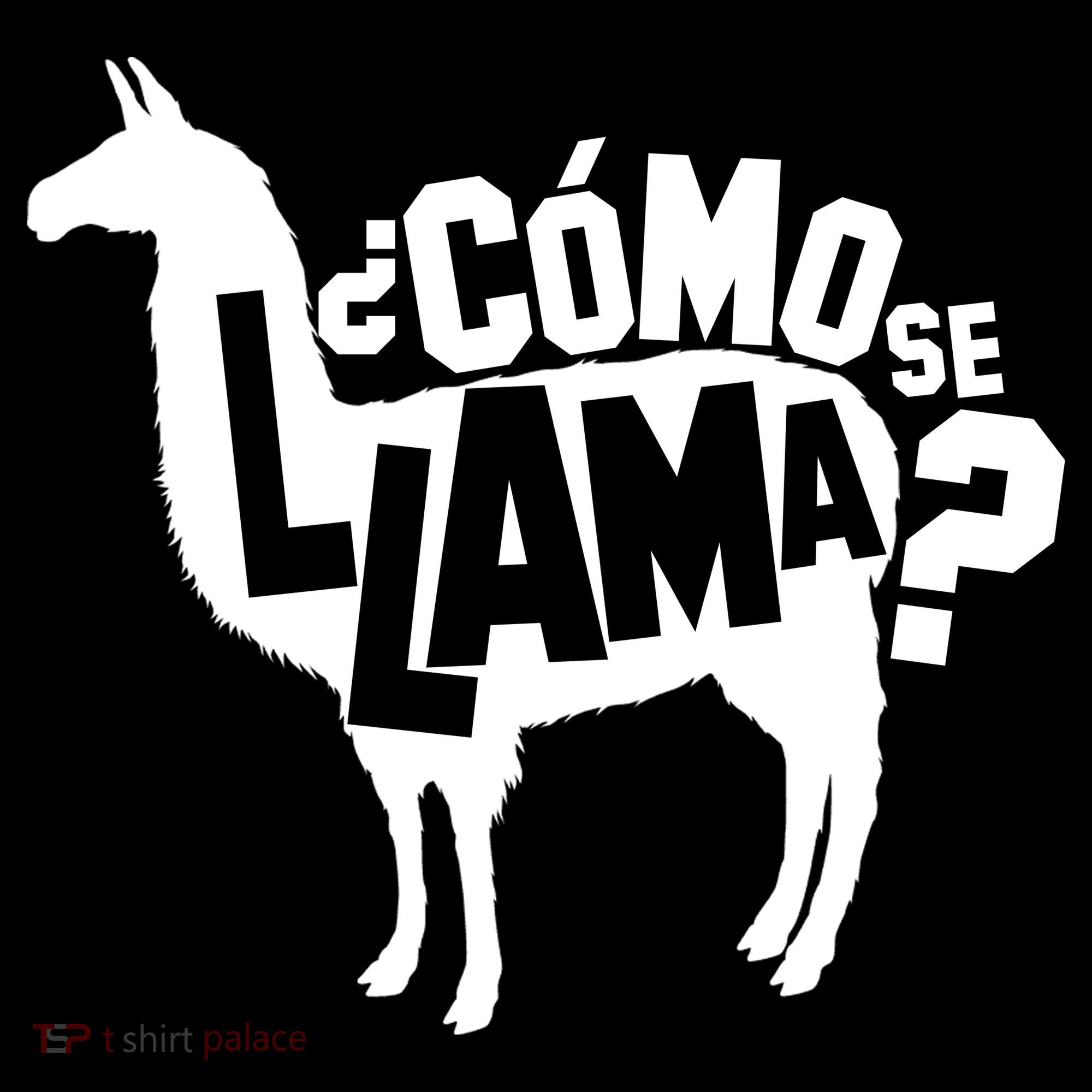 Como Se Llama Bucket Hat
