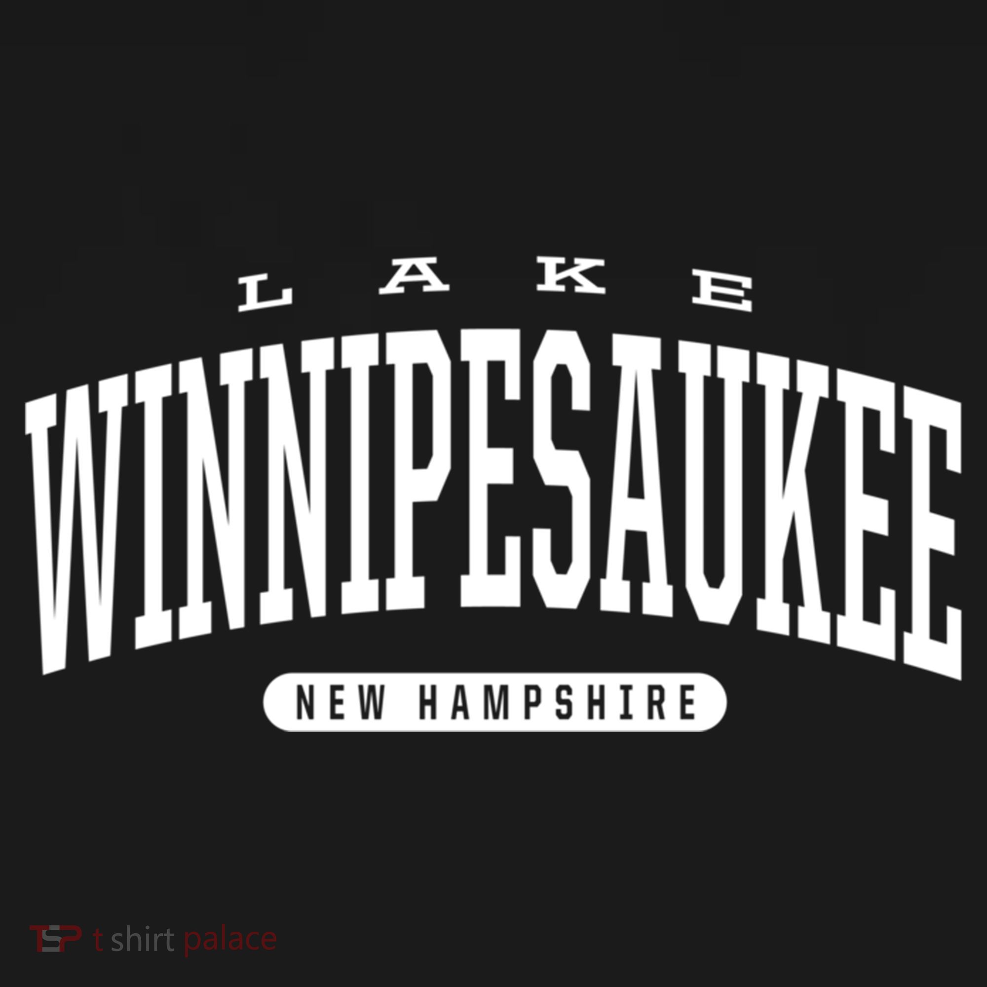 College Style Lake Winnipesaukee New Hampshire Souvenir Gift Great Gift Ornament