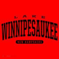 College Style Lake Winnipesaukee New Hampshire Souvenir Gift Great Gift Santa Hat thumb 1
