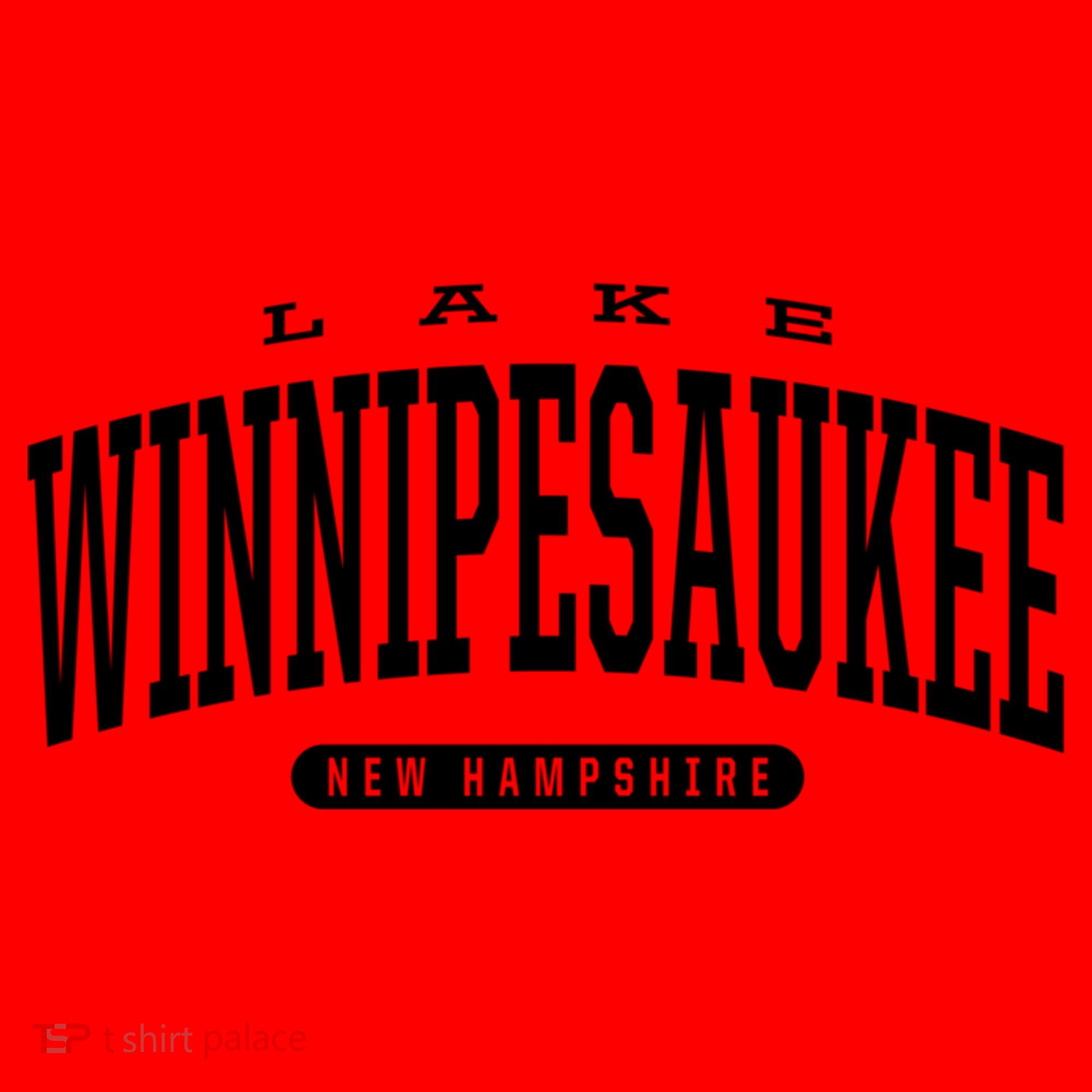 College Style Lake Winnipesaukee New Hampshire Souvenir Gift Great Gift Santa Hat
