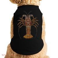 Caribbean Spiny Lobster Bahamas Shellfish Seafood Doggie Tank thumb 0