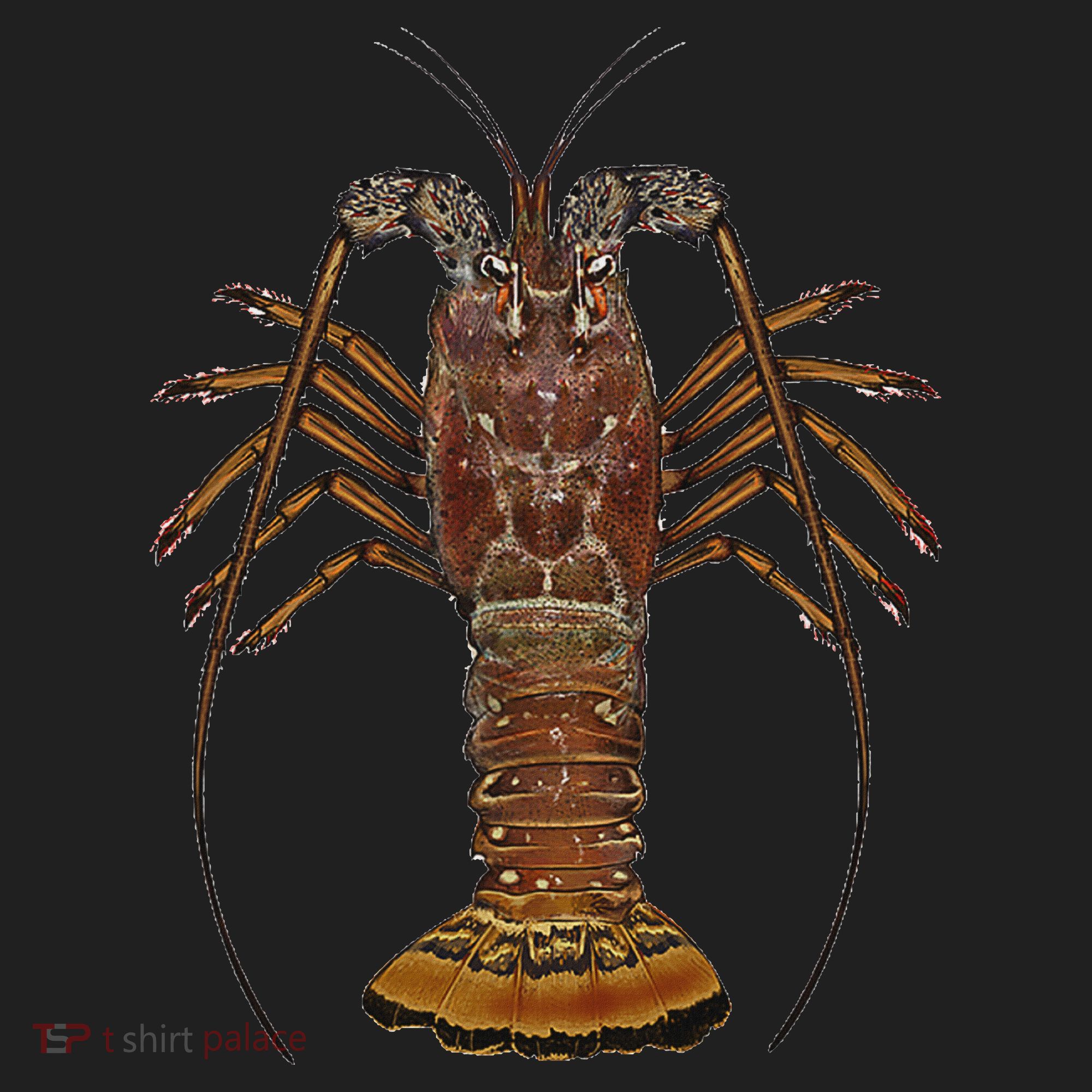 Caribbean Spiny Lobster Bahamas Shellfish Seafood Hat