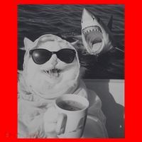 Cat Scarf Meme Drinking Coffee Selfie Chill White Shark Santa Hat thumb 1