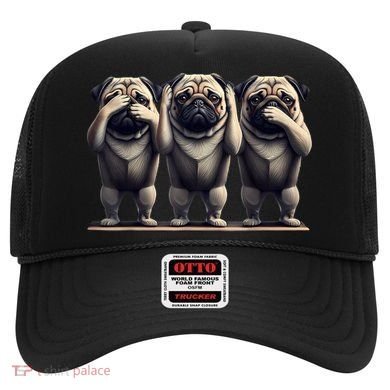 Cute See No Evil Hear No Evil Speak No Evil Three Pug Hat