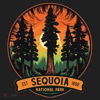 Cute Sequoia National Park Giant Tree Graphic Tumbler thumb 3
