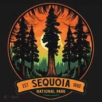 Cute Sequoia National Park Giant Tree Graphic Toddler Hoodie thumb 2