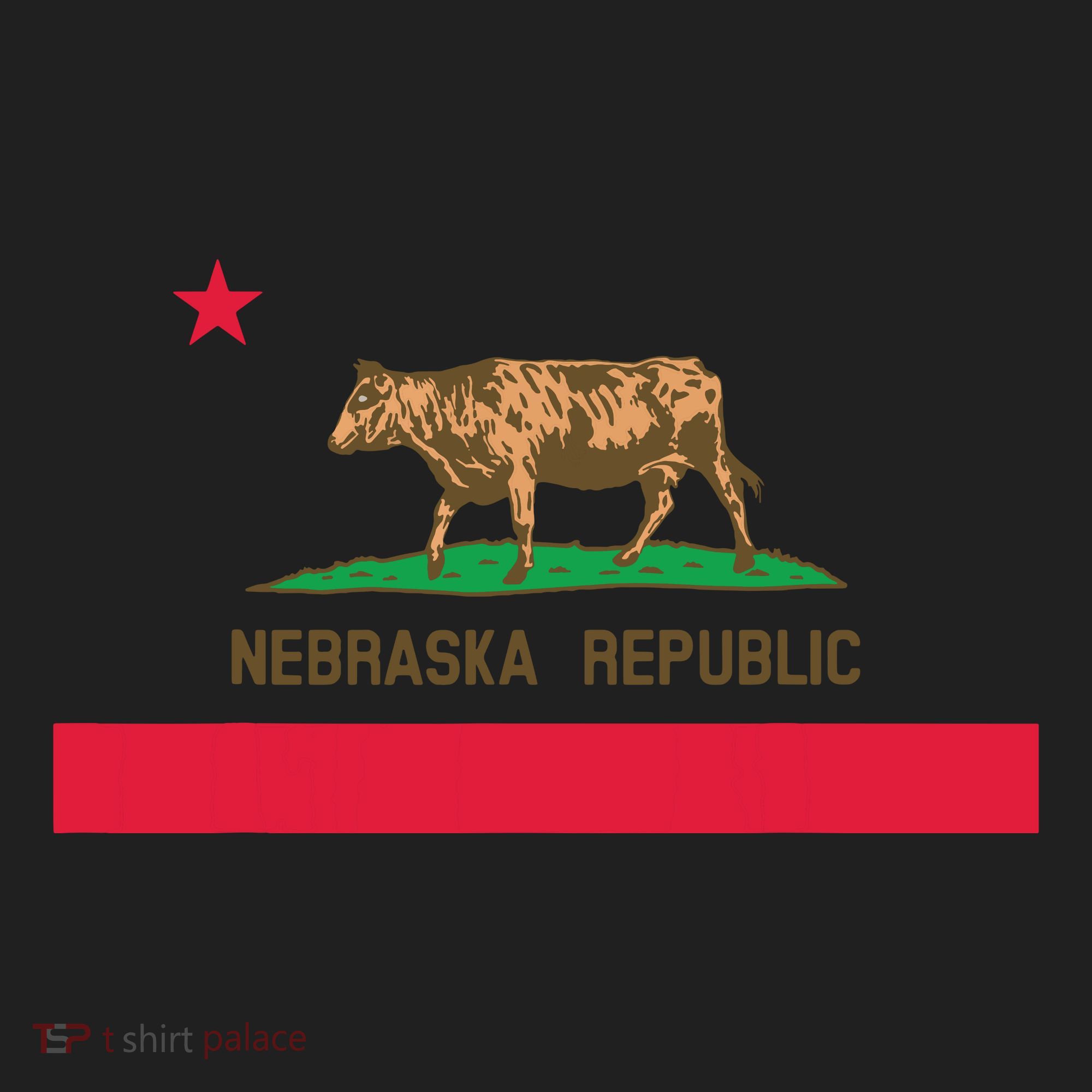 California Style Nebraska State Flag Beanie
