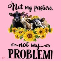 Cow Sunflowers Not My Pasture Not My Problem Coaster thumb 2