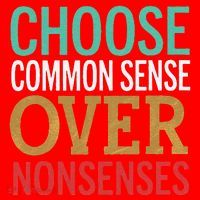 Common Sense Over Nonsense Santa Hat thumb 1