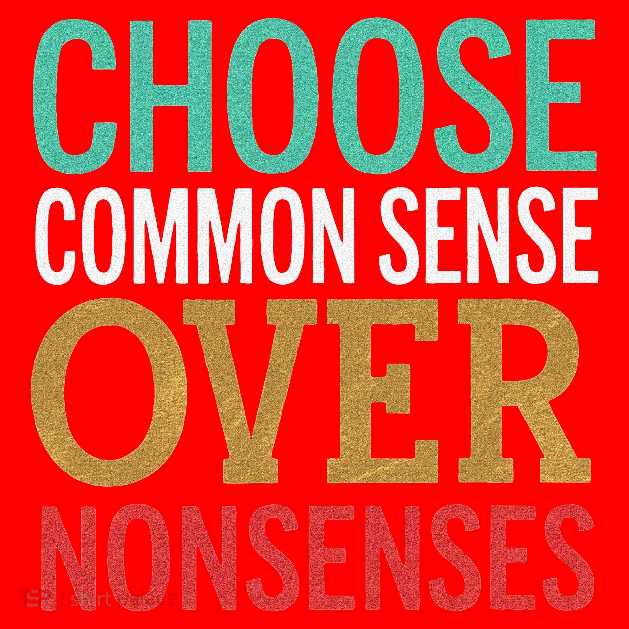 Common Sense Over Nonsense Santa Hat