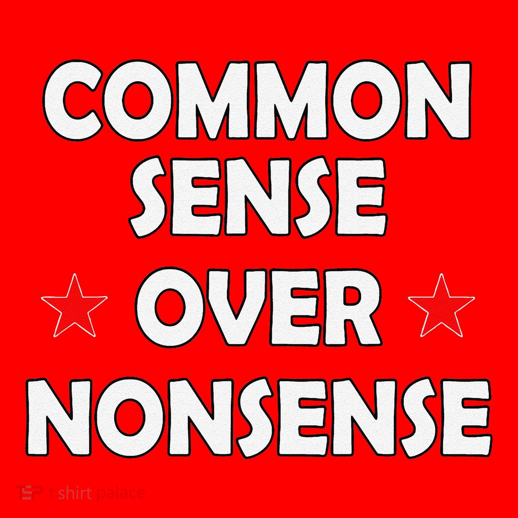 Common Sense Over Nonsense Santa Hat