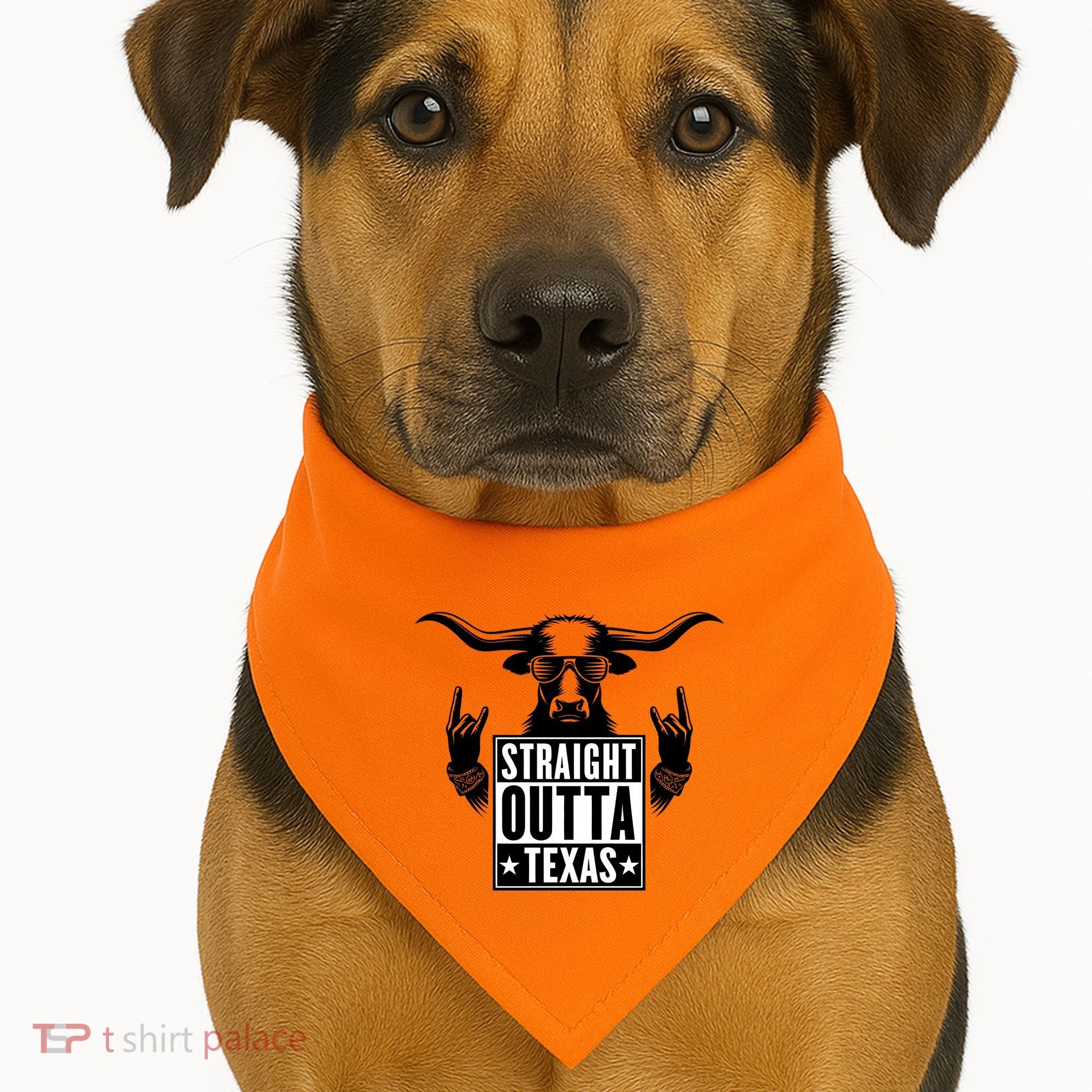 Cool Straight Outta Texas Long Horn Bull USA-Made Doggie Bandana