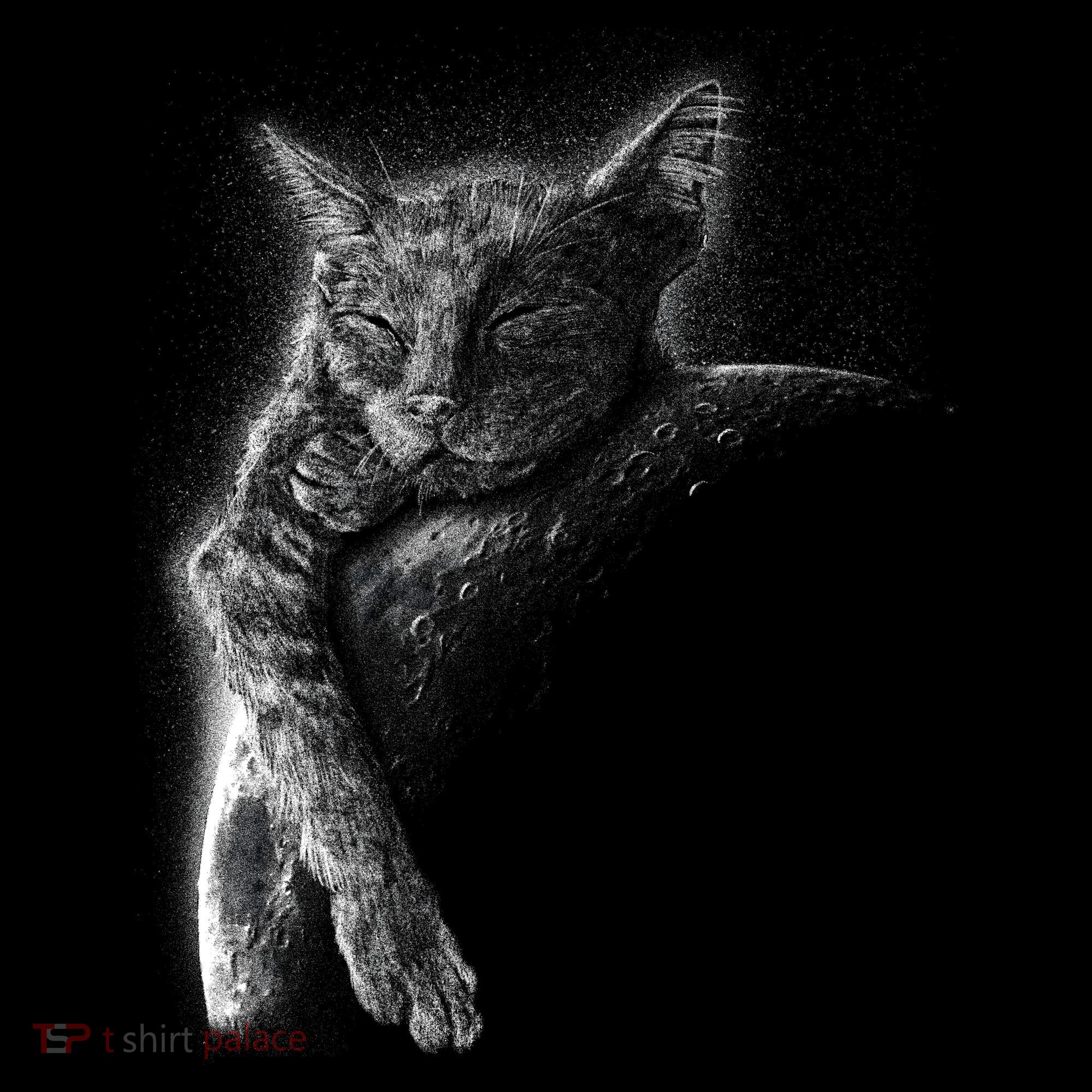 Cat Sleeping On The Moon Sketch Coaster