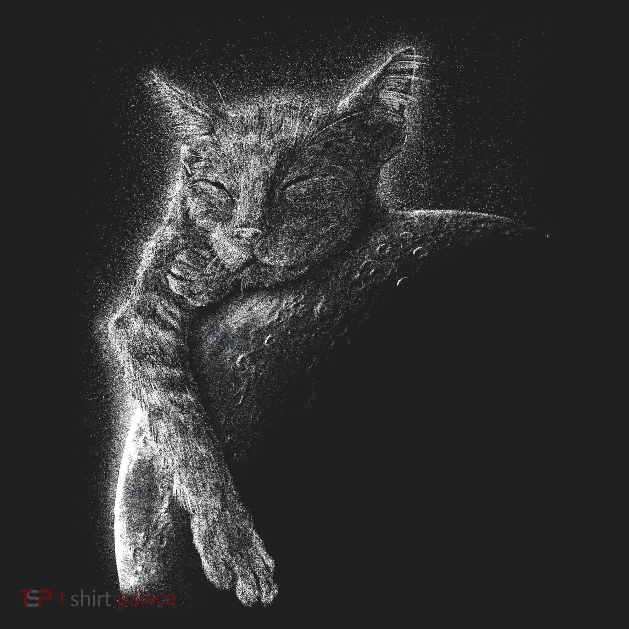 Cat Sleeping On The Moon Sketch Hat