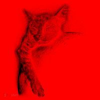 Cat Sleeping On The Moon Sketch Santa Hat thumb 1