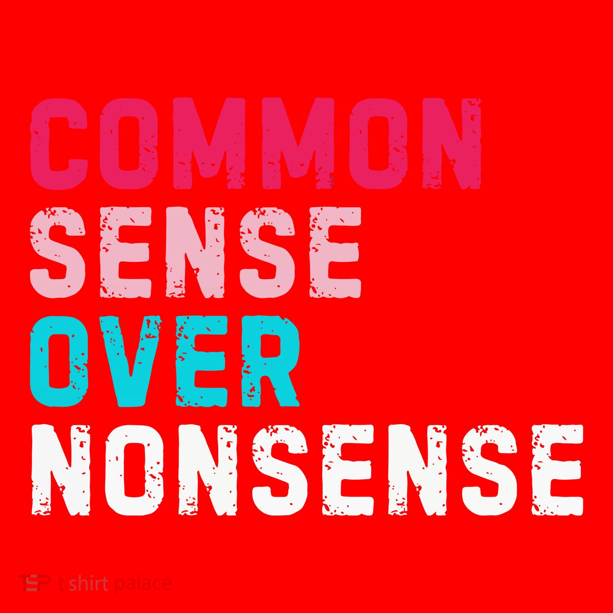 Common Sense Over Nonsense Santa Hat
