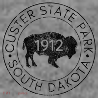Custer State Park South Dakota Buffalo Hiking Travel Toddler Hoodie thumb 2
