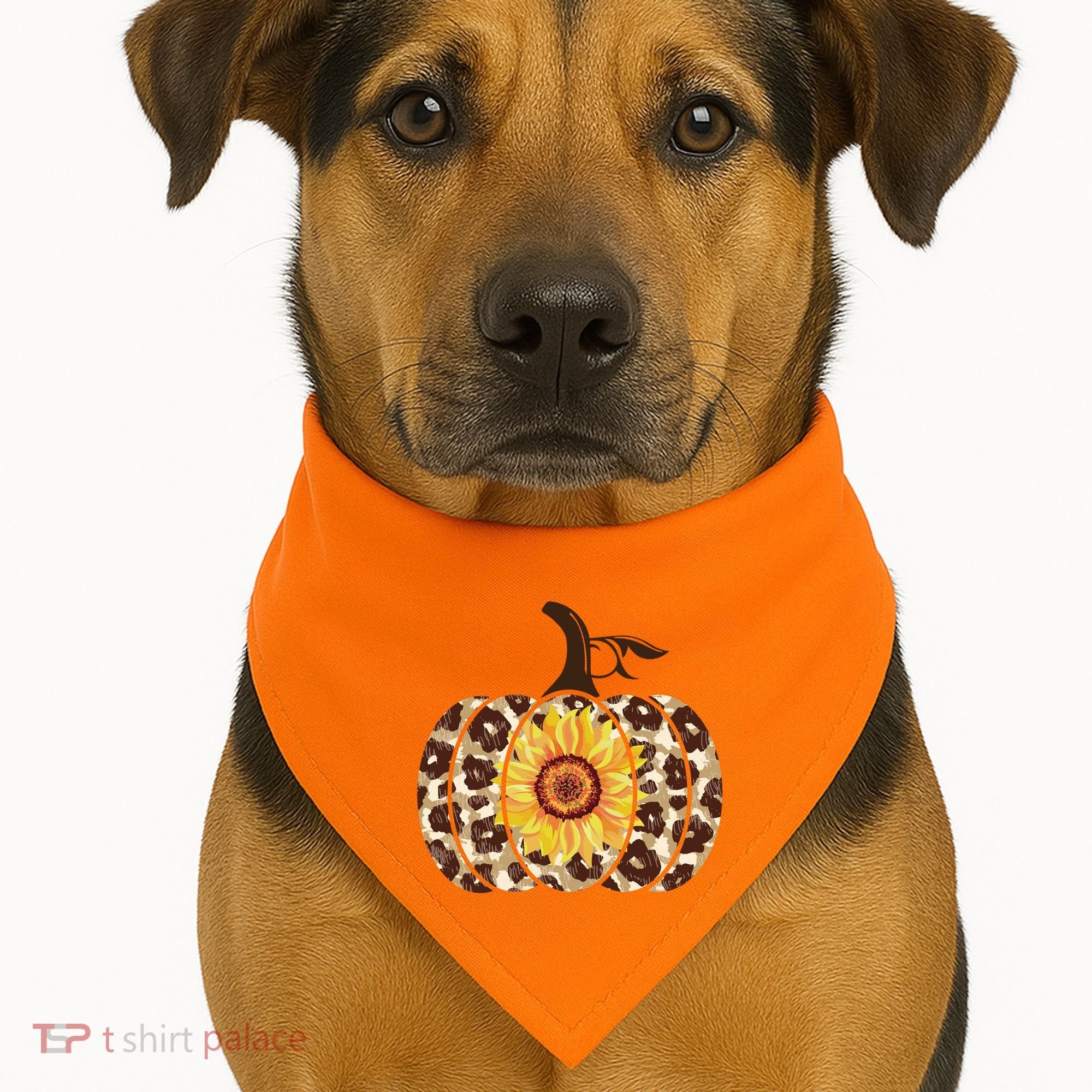 Cheetah Sunflower Pumpkin USA-Made Doggie Bandana