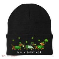 Cute St Patrick's Day Just A Lucky Dog Dachshunds Beanie thumb 0