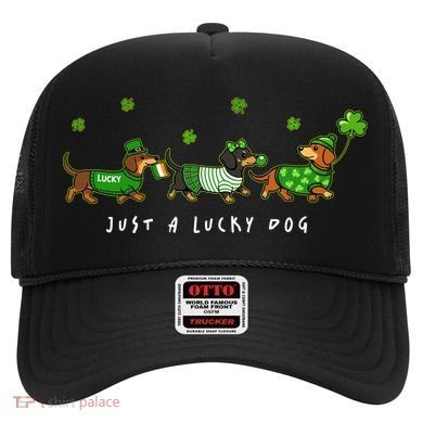 Cute St Patrick's Day Just A Lucky Dog Dachshunds Hat